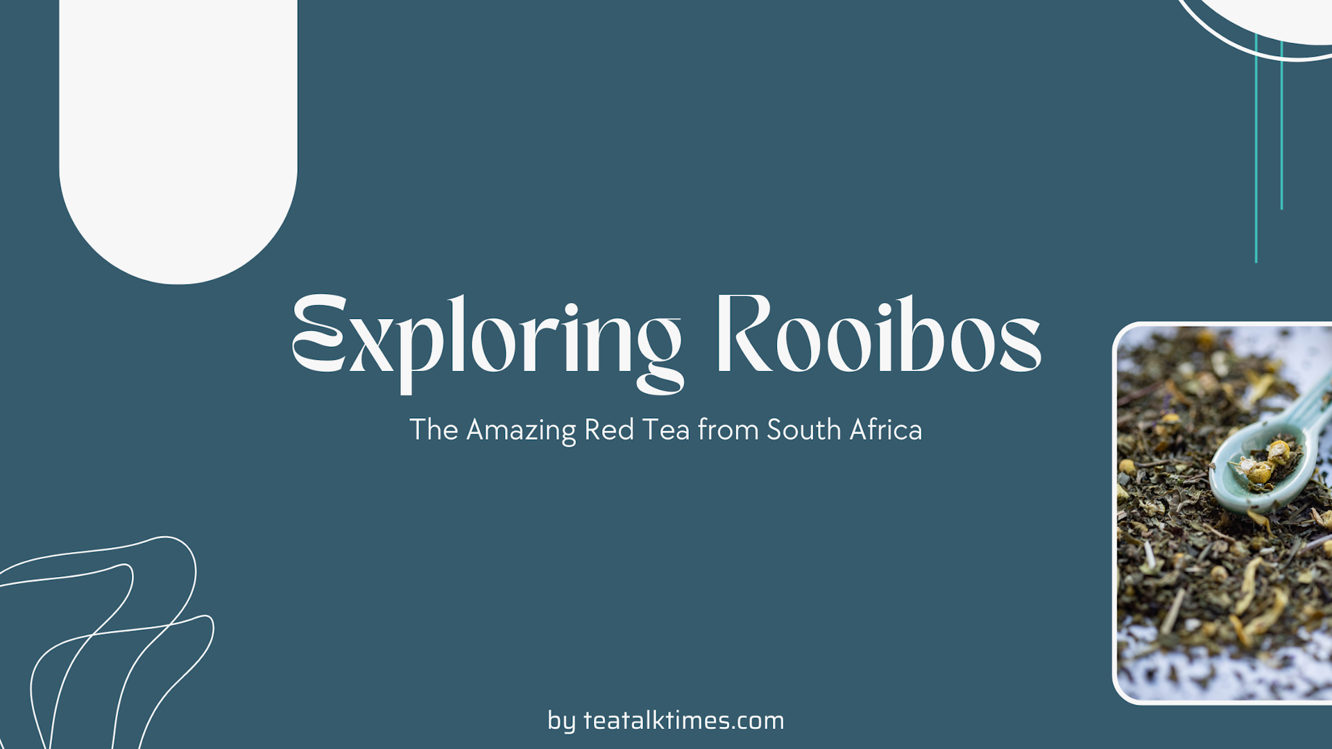 Exploring Rooibos: The Amazing Red Tea from South Africa