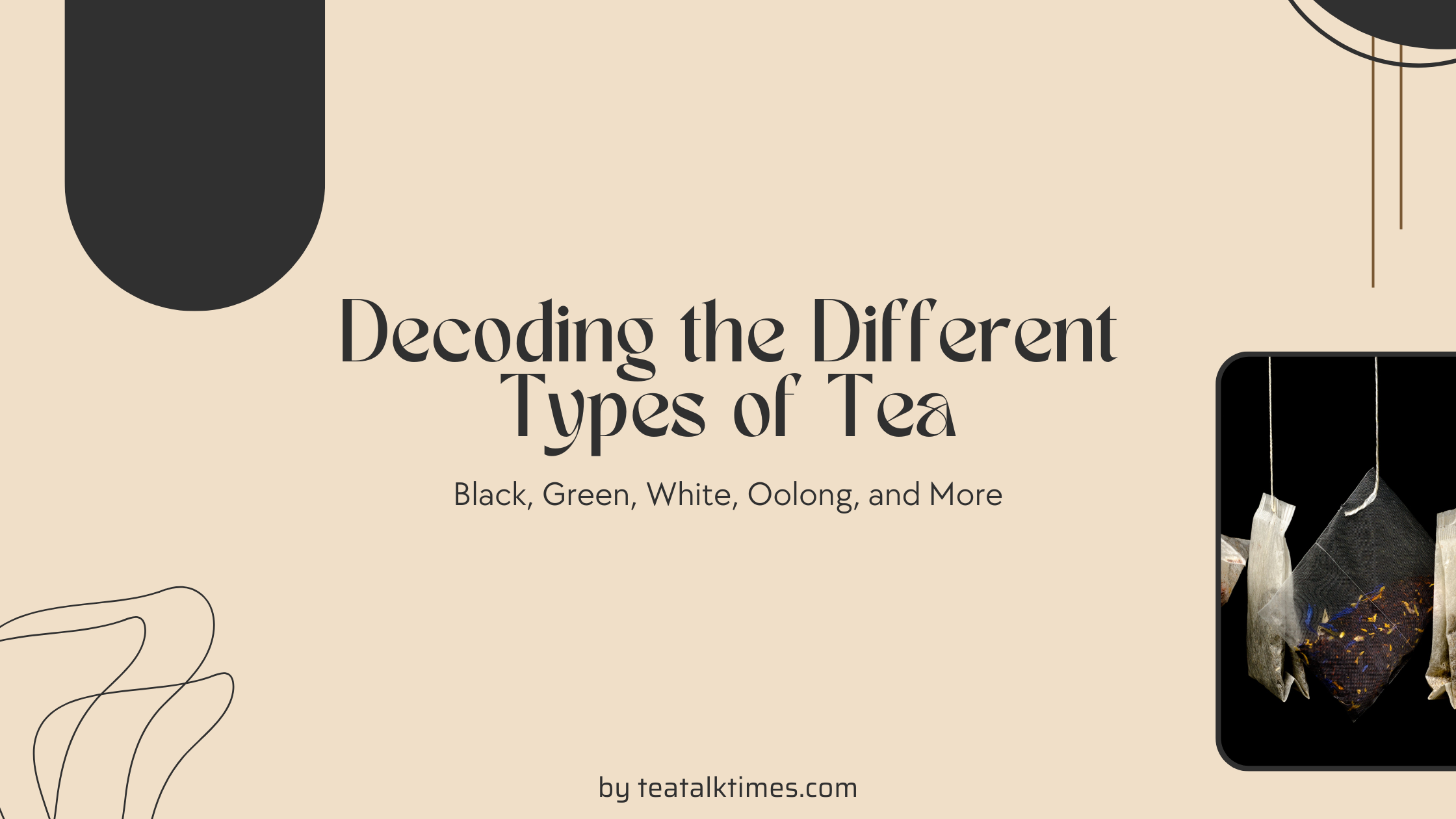 Decoding the Different Types of Tea: Black, Green, White, Oolong, and More